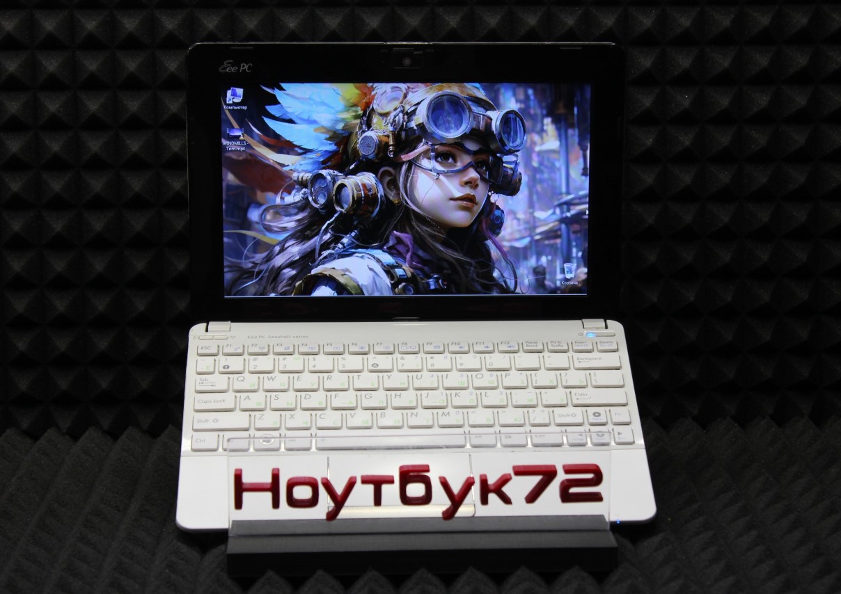 Нетбук Asus Eee PC 21