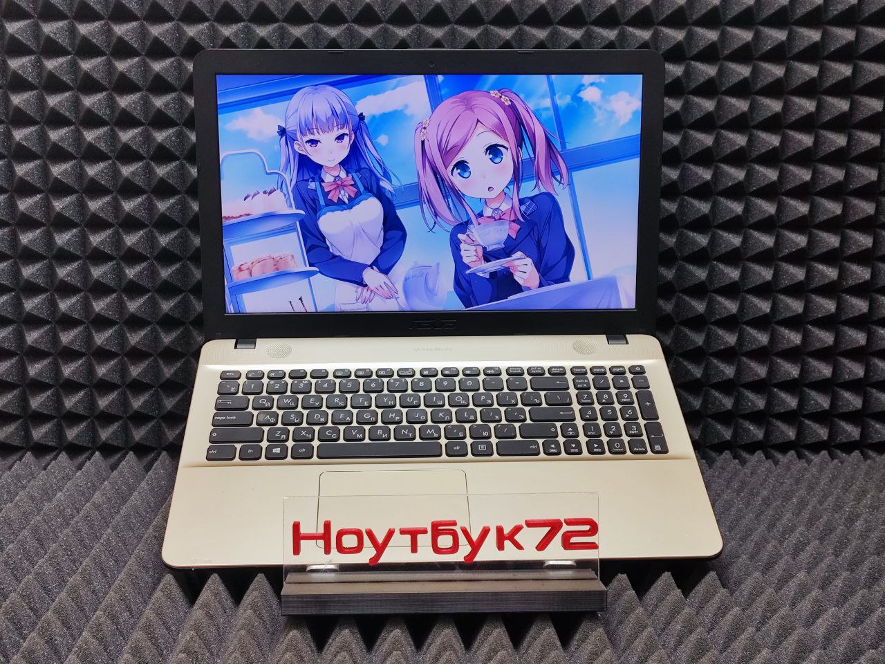 Ноутбук Asus X541SC-XXO34T