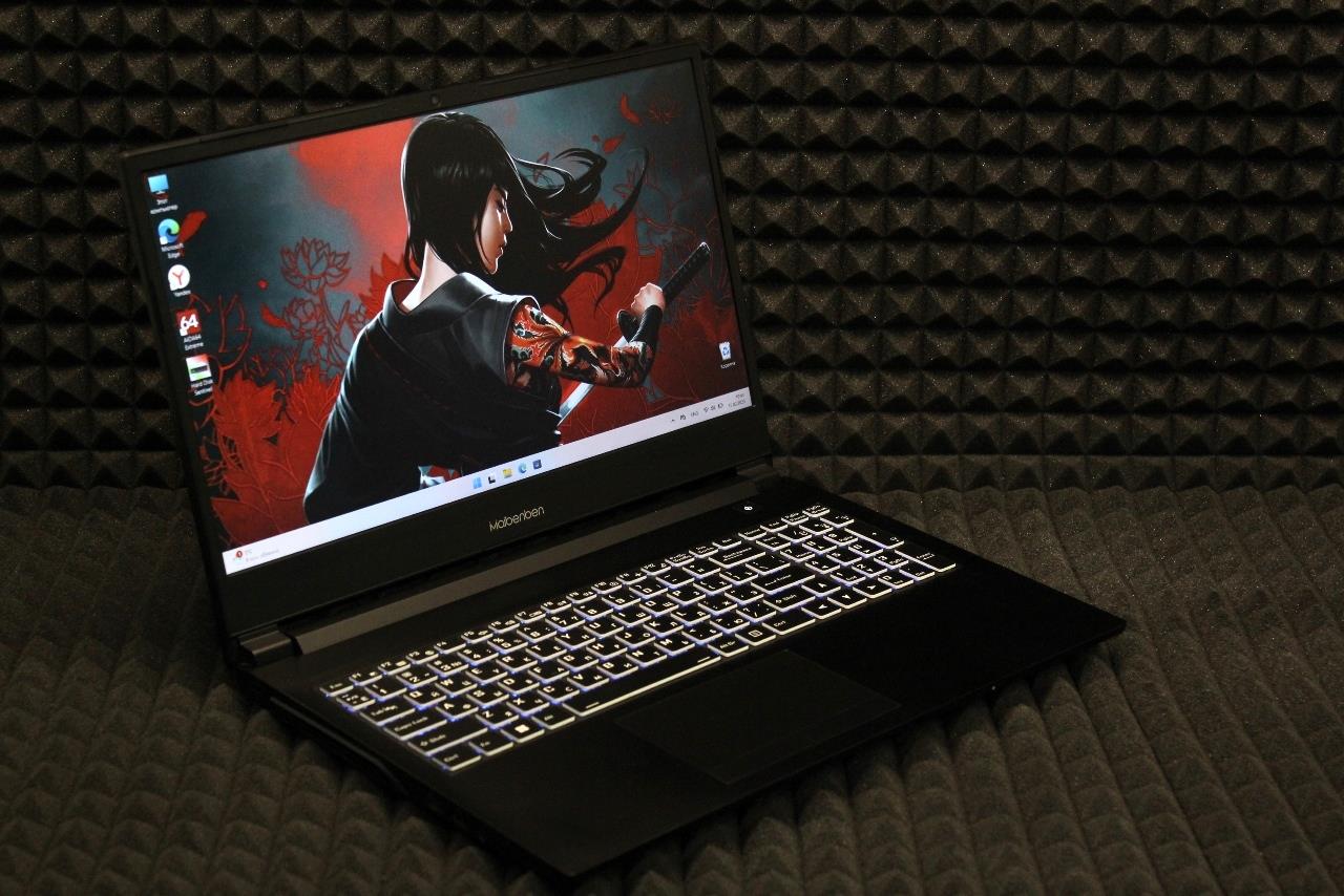 Ноутбук Maibenben X556 (З)