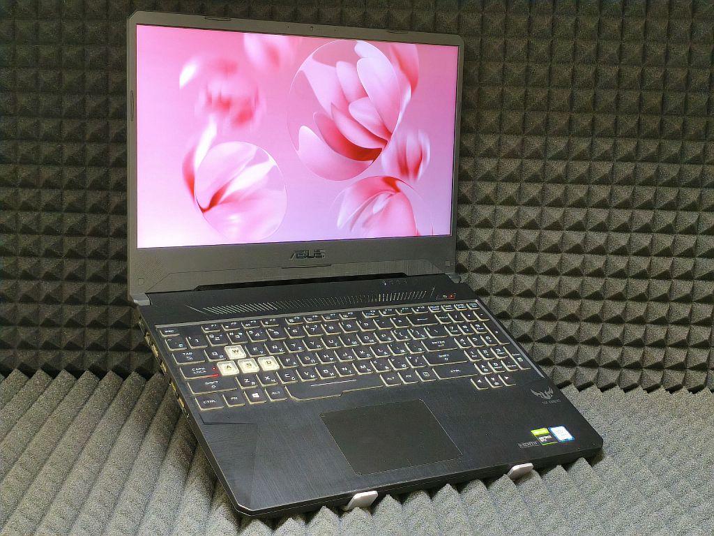 Ноутбук Asus FX95G (FX95GT9300)