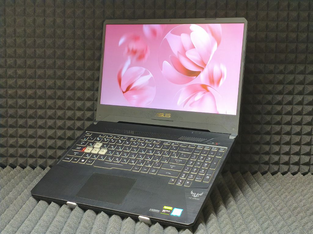 Ноутбук Asus FX95G (FX95GT9300)