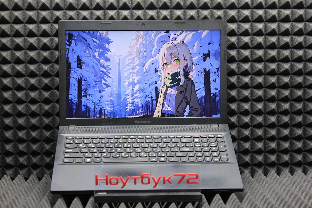 Ноутбук Lenovo G505 (20240)