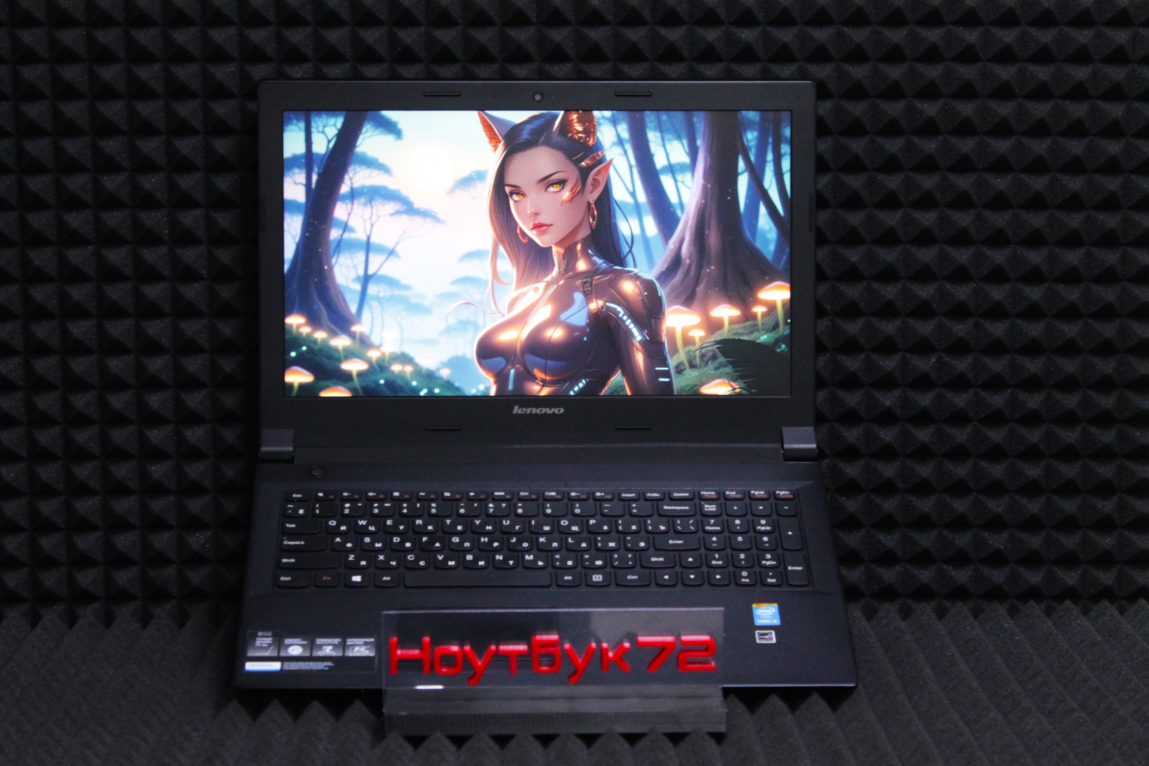 Ноутбук Lenovo B50-30 20382