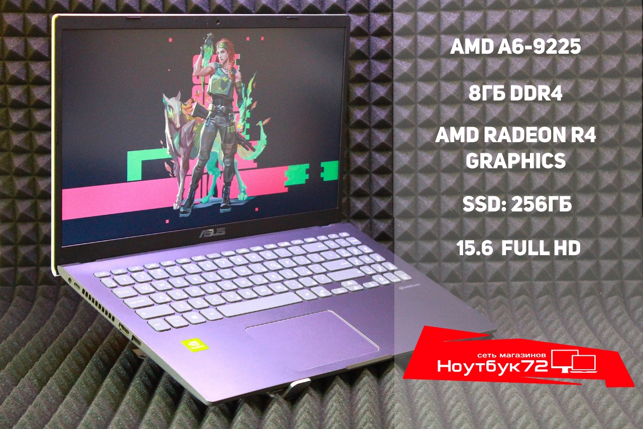 Ноутбук Asus F509JB-EJ1311