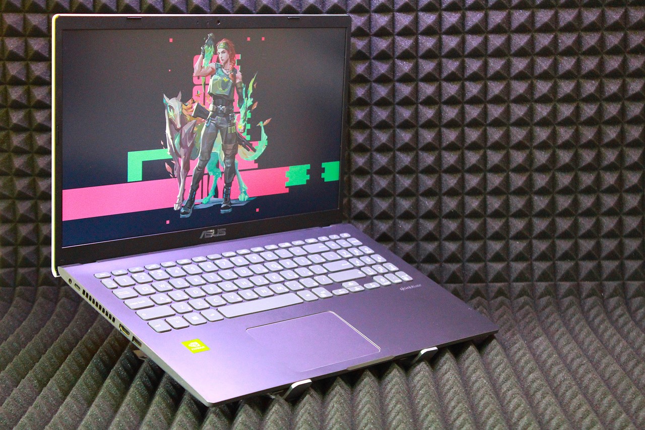 Ноутбук Asus F509JB-EJ1311