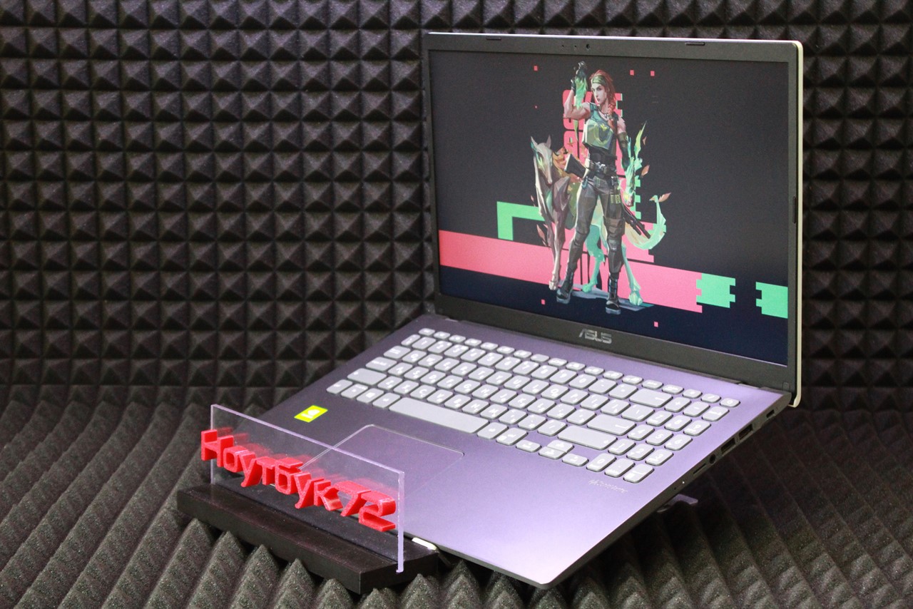 Ноутбук Asus F509JB-EJ1311
