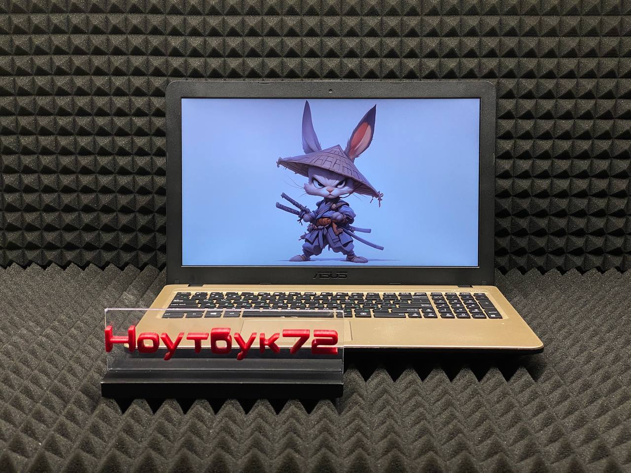 Ноутбук Asus R540YA-XO112T-1