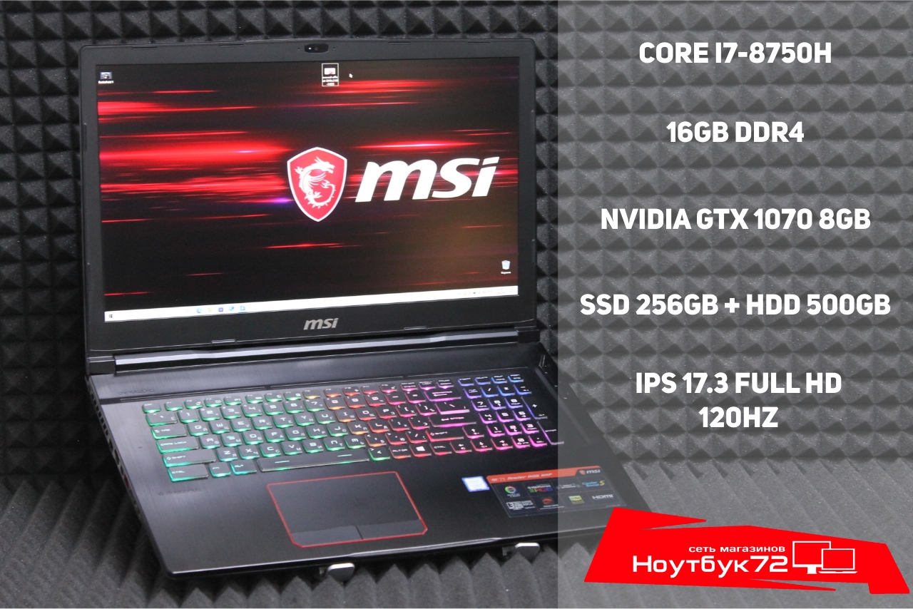 Ноутбук MSI GE73 Raider RGB 8RF-096XRU