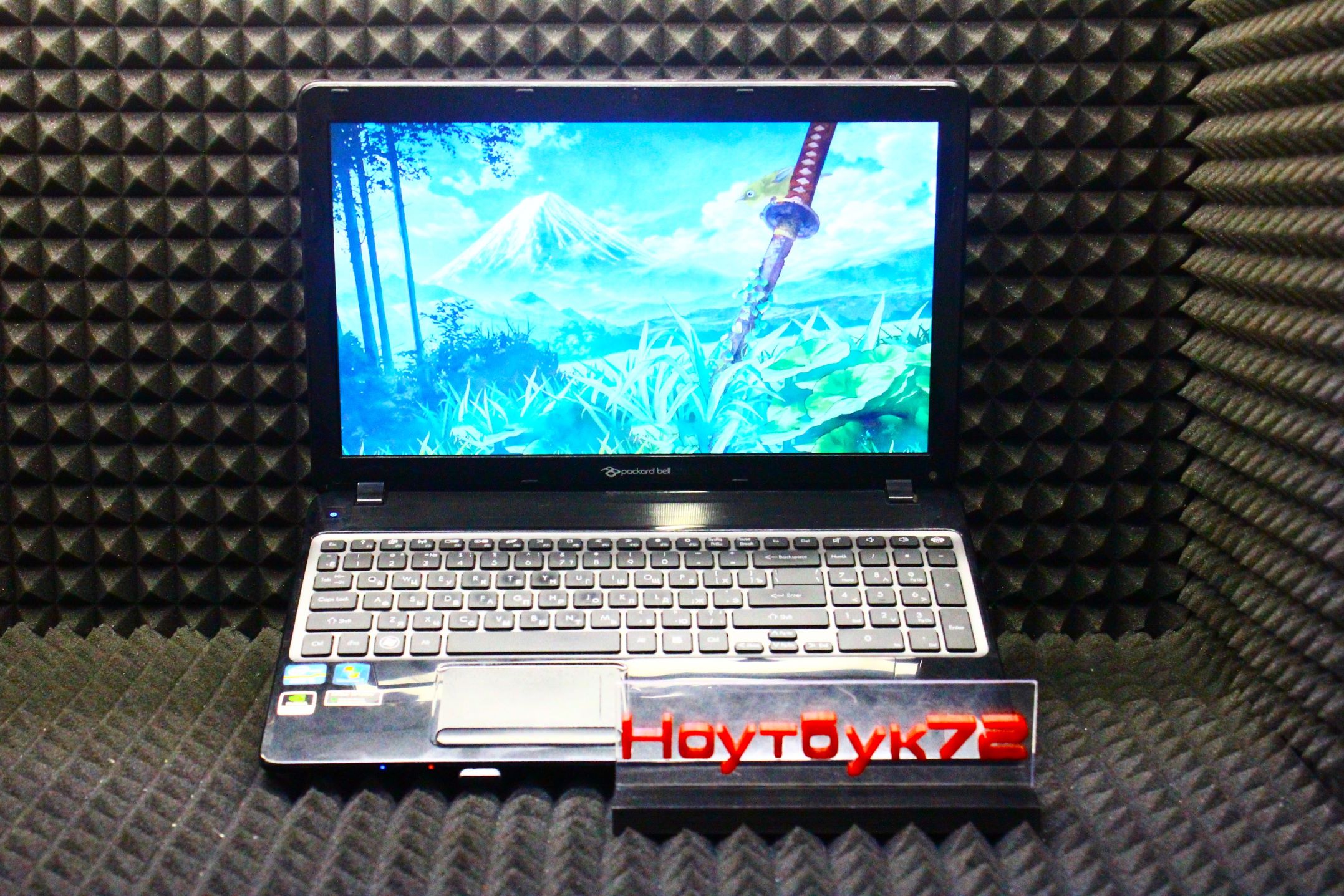 Ноутбук Packard Bell Easy note TV 11 HC