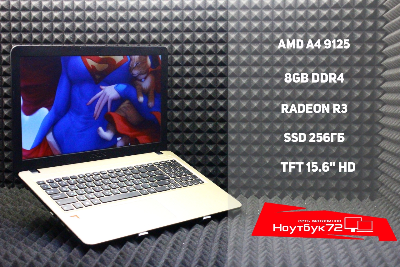 Ноутбук Asus F540BA-GQ752T