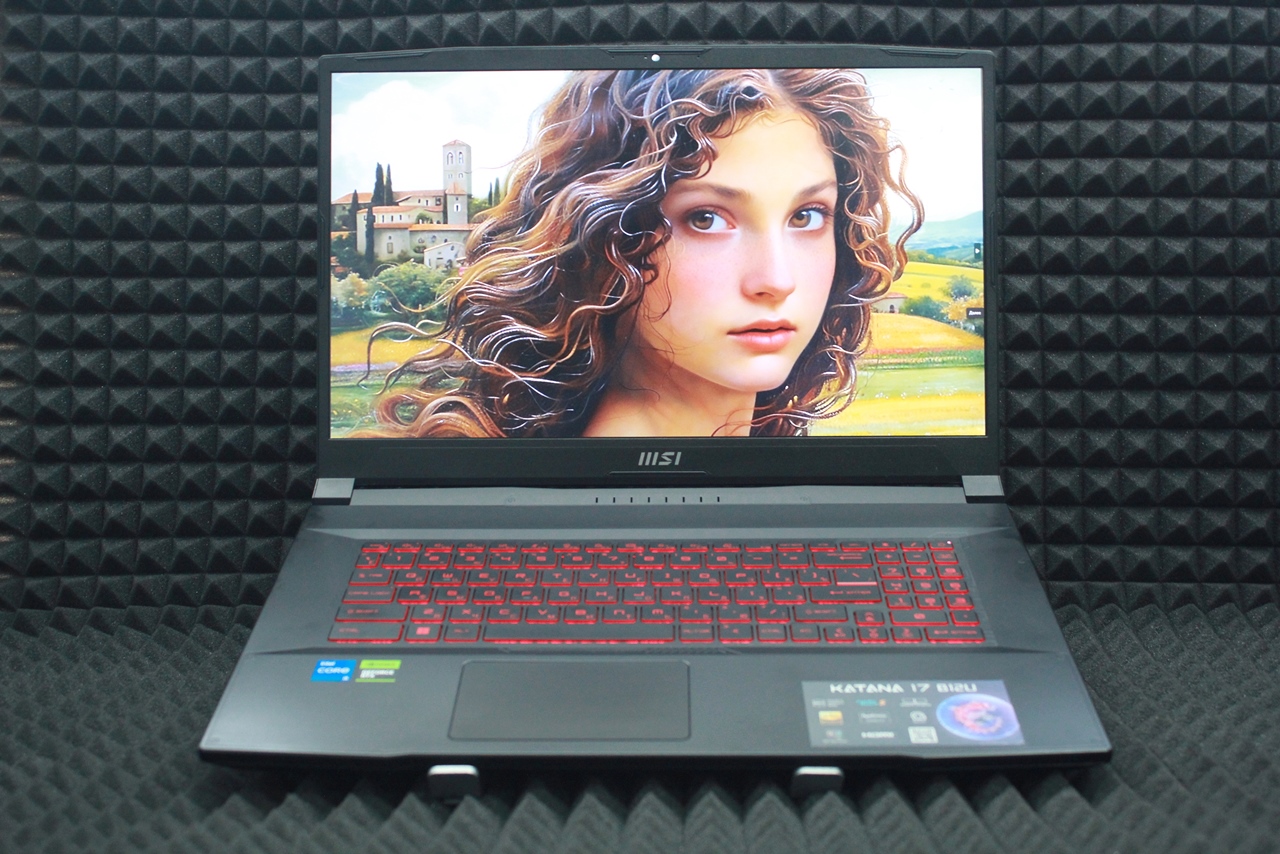 Ноутбук MSI Katana 17 B12UCX-1004XRU