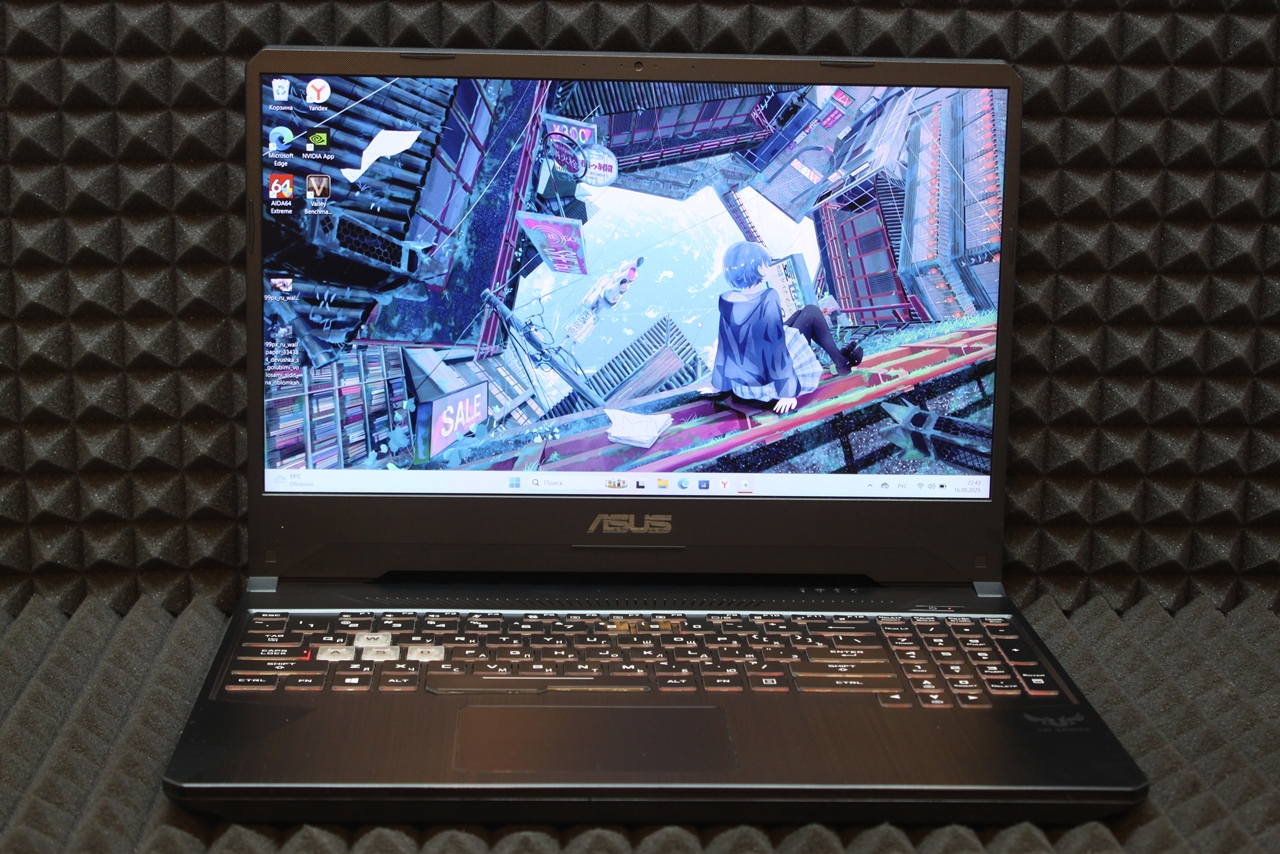 Asus TUF FX95DT3550