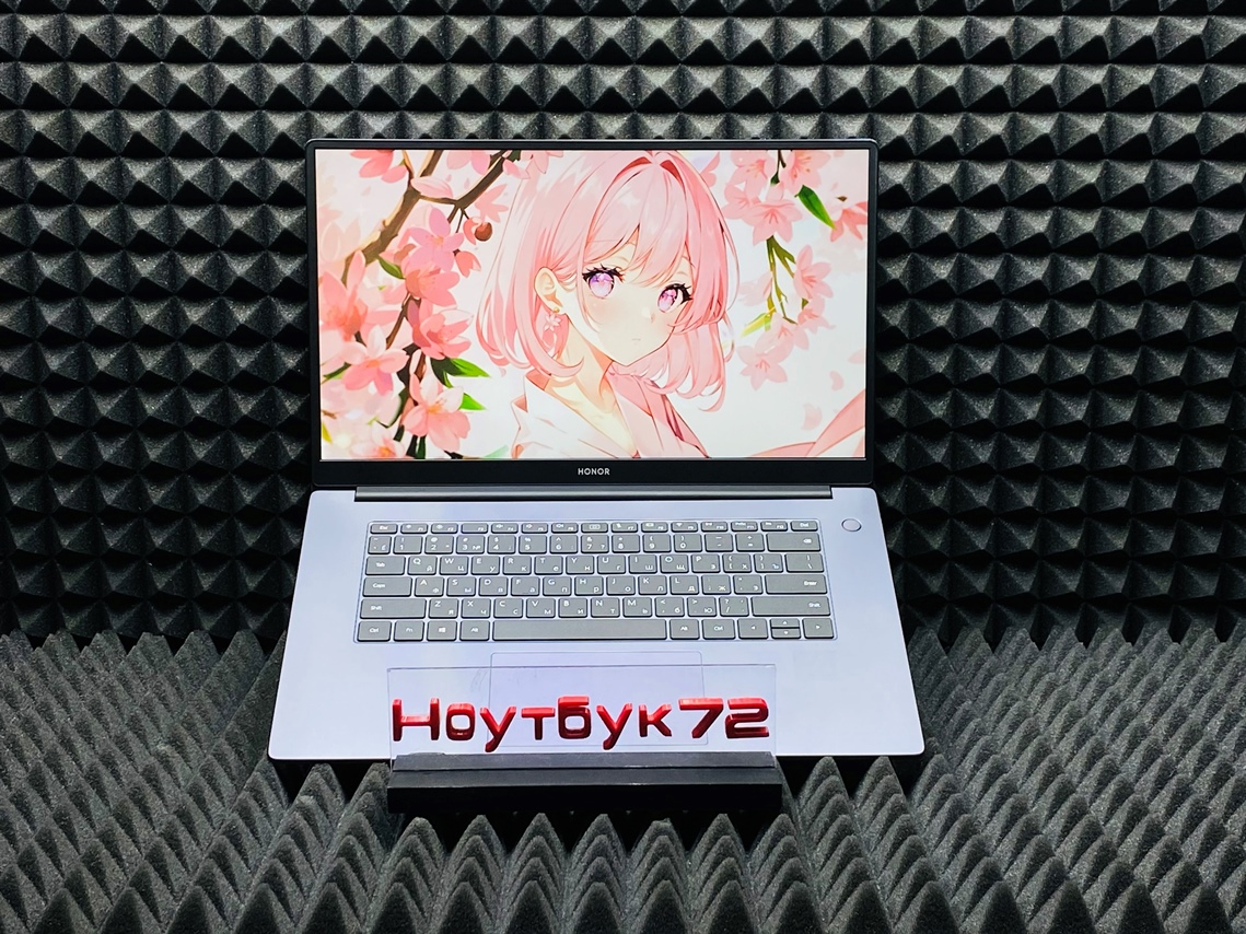 Ноутбук HONOR MagicBook X 15 BBR-WAH9F