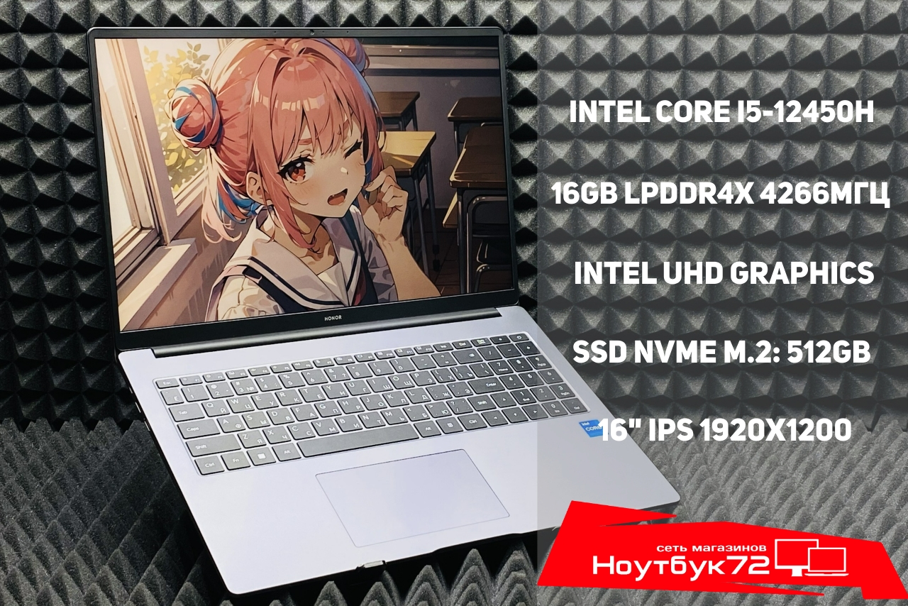 Ноутбук HONOR MagicBook X 16 2024 Born-F5651C