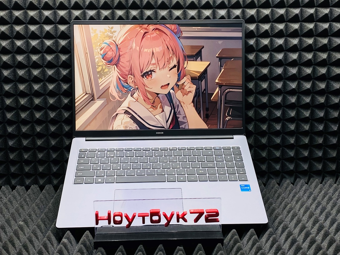 Ноутбук HONOR MagicBook X 16 2024 Born-F5651C