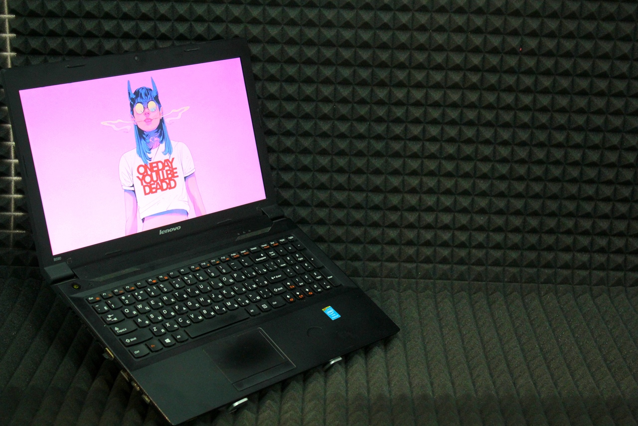 Ноутбук Lenovo B590(z_