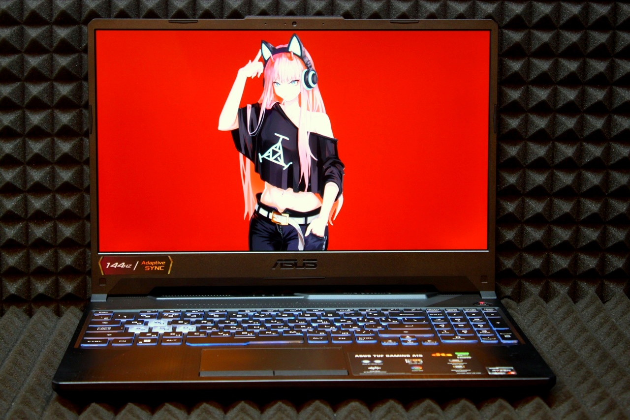 Ноутбук Asus Tuf Gaming FA506NF-HN100