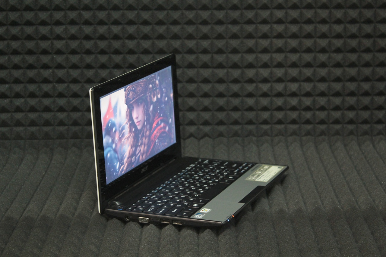 Нетбук Acer Aspire one D255E