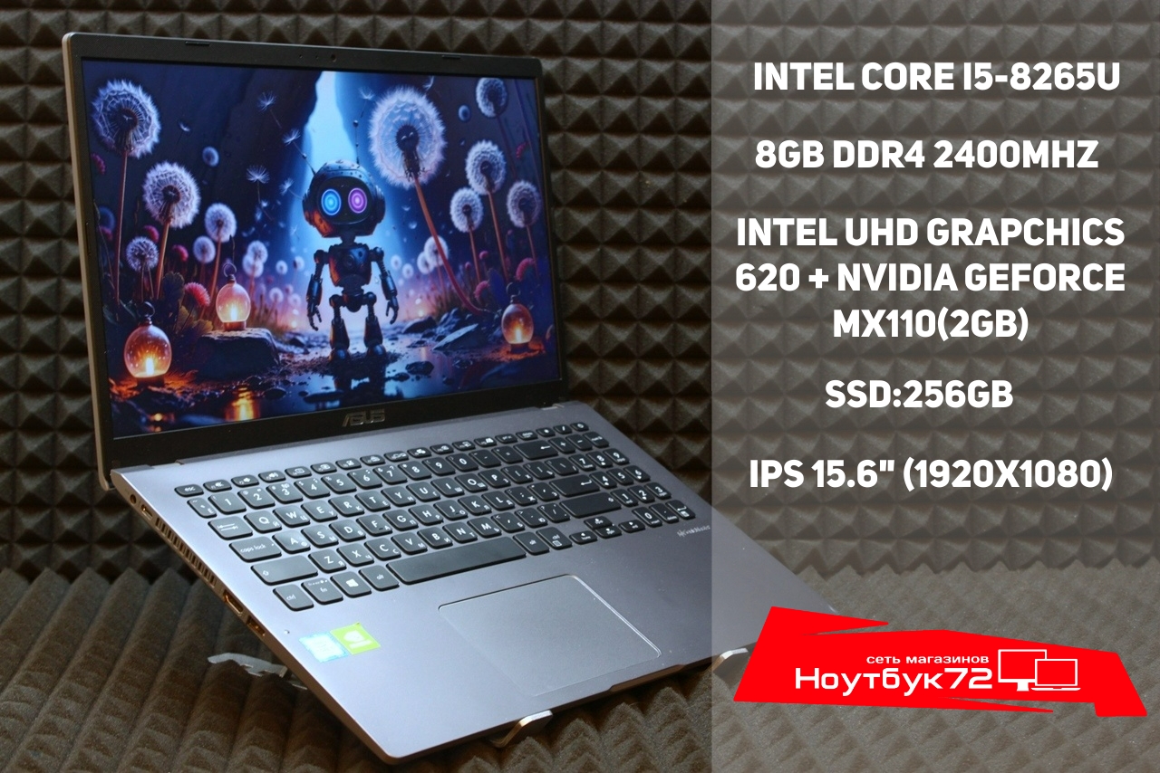Ноутбук Asus X509FB-BR015T