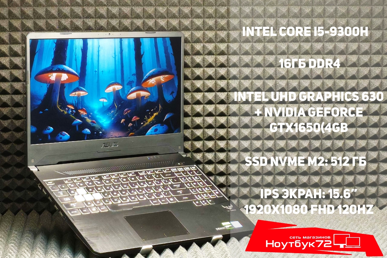 Ноутбук ASUS TUF FX95GT9300-0D8AXHA4X10