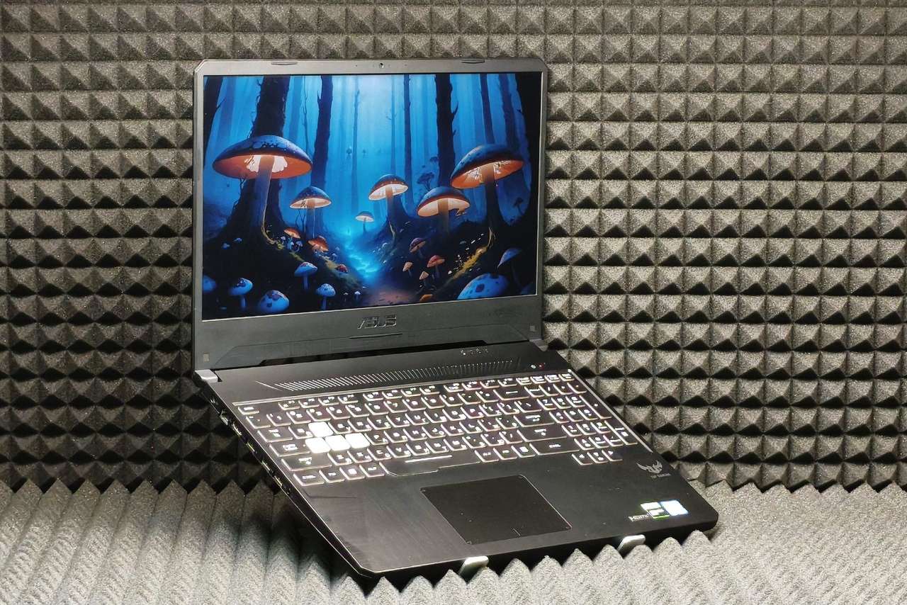 Ноутбук ASUS TUF FX95GT9300-0D8AXHA4X10