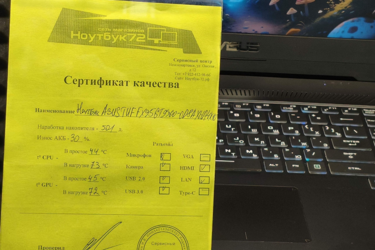 Ноутбук ASUS TUF FX95GT9300-0D8AXHA4X10