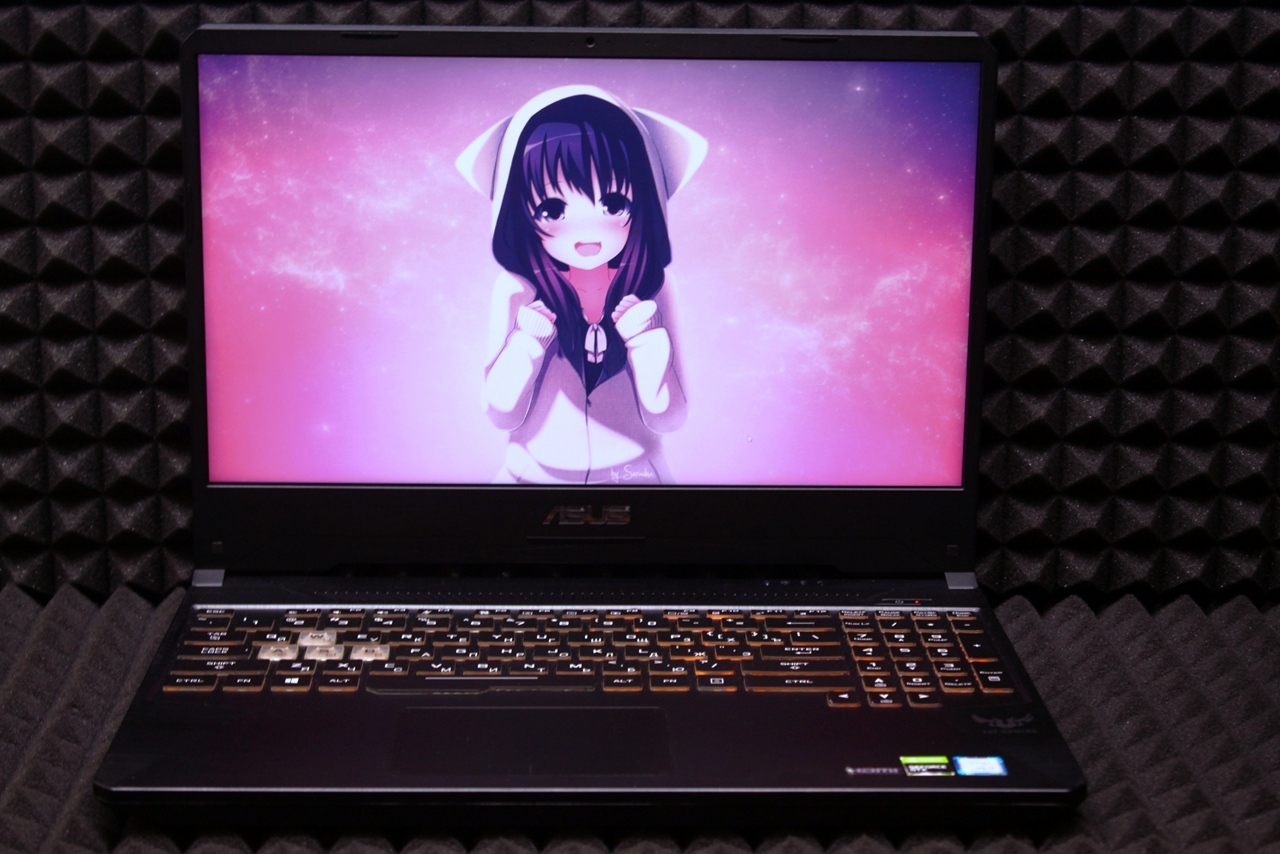 Ноутбук Asus FX95GT9300-0D8AXYA4X10