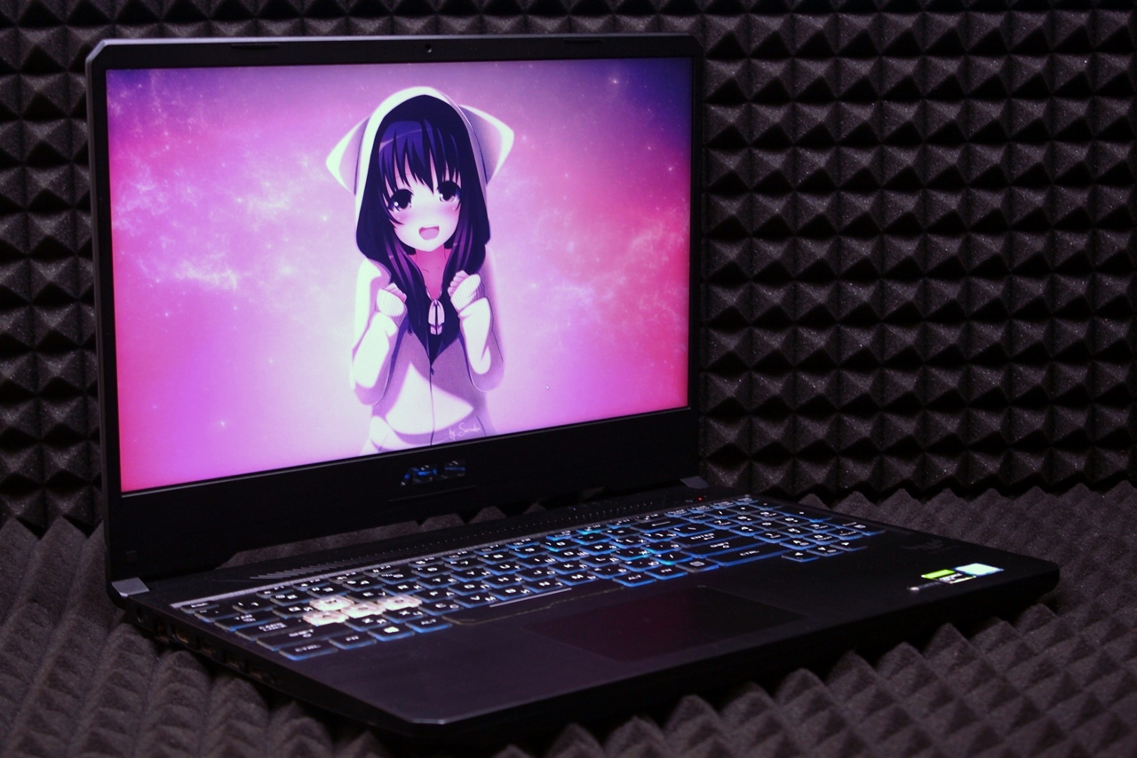 Ноутбук Asus FX95GT9300-0D8AXYA4X10