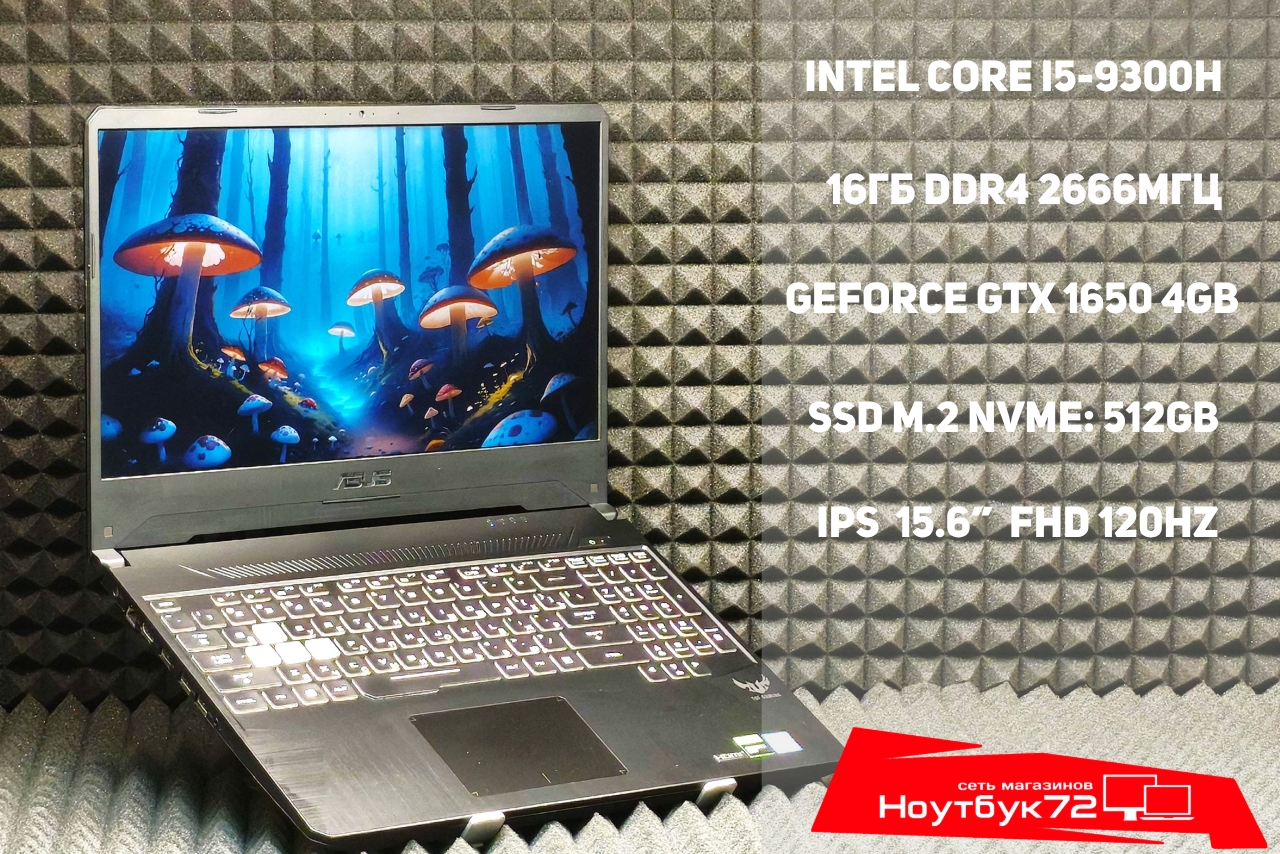 Ноутбук ASUS TUF FX95GT9300-0D8AXHA4X10