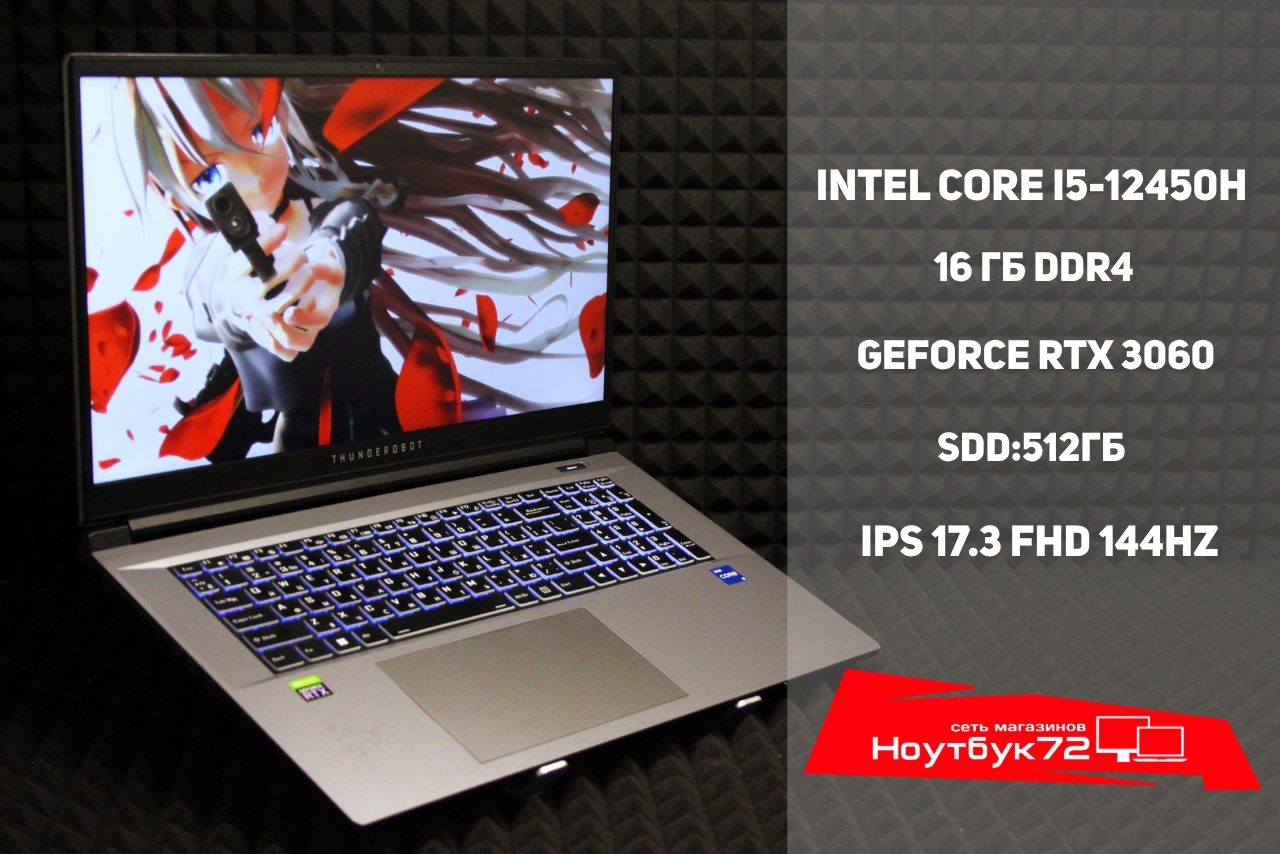 Ноутбук Thunderobot 911 Plus Pro D