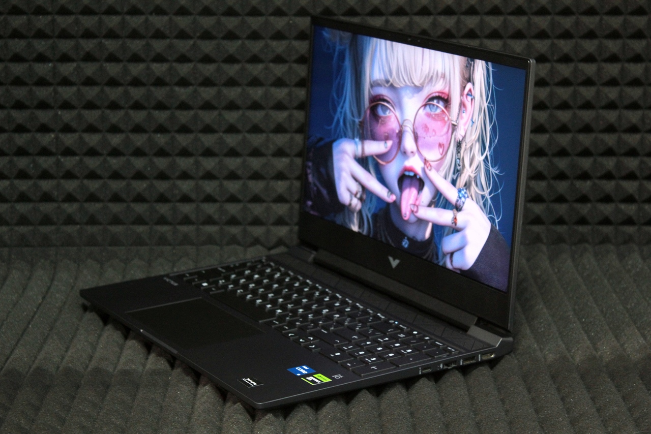 Ноутбук HP Victus 15-fa0065ci (2)