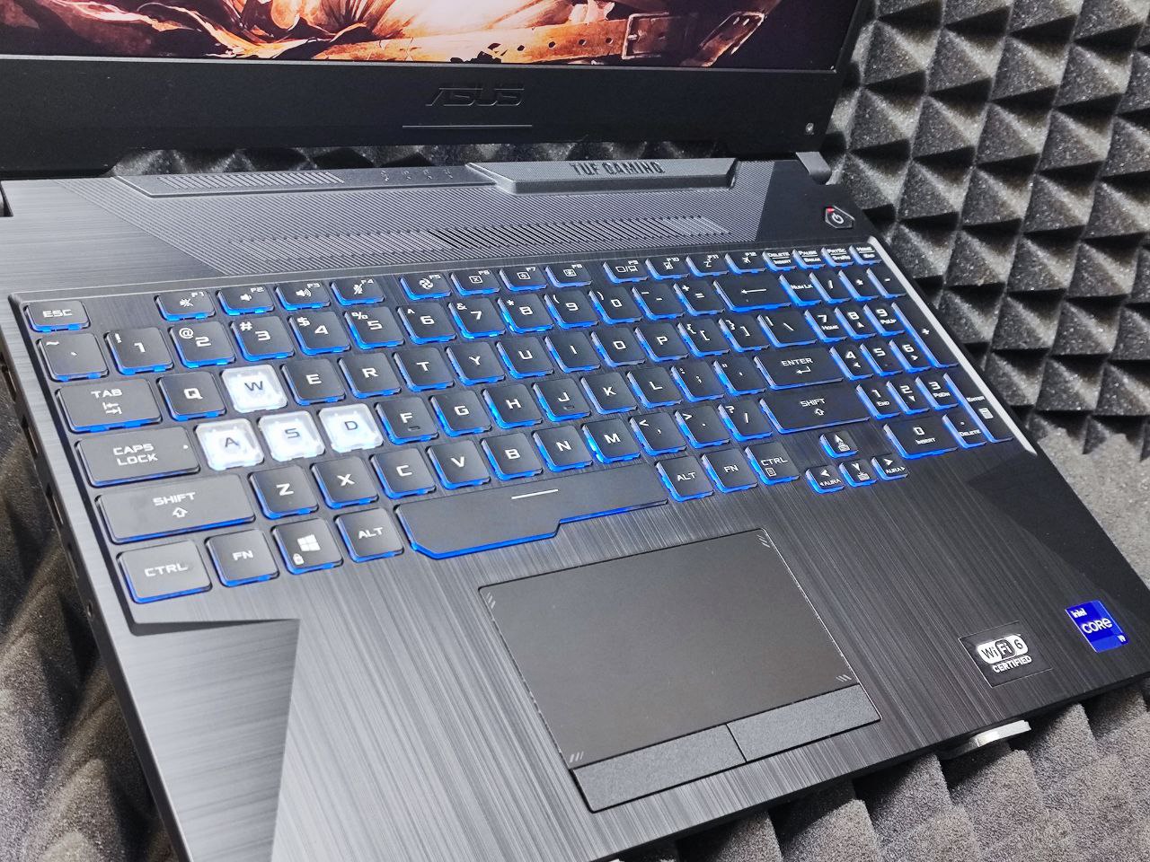 Ноутбук ASUS TUF FX506HM11900