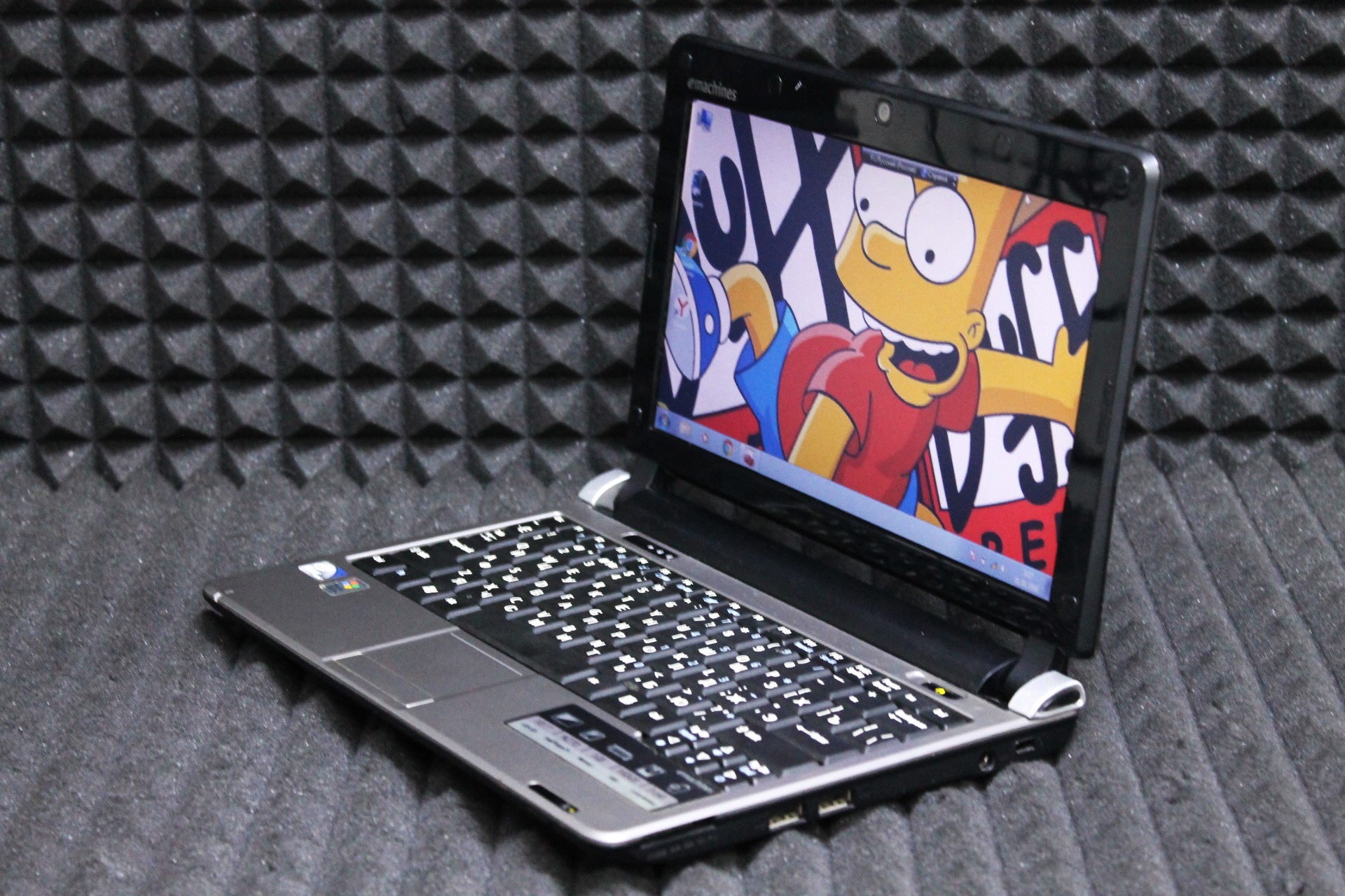 Нетбук Acer (eMachines) M250