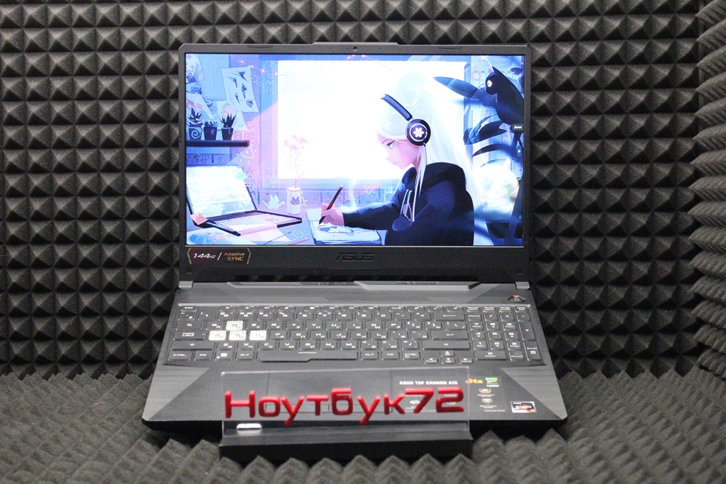 Ноутбук Asus TuF Gaming FA506-HN100