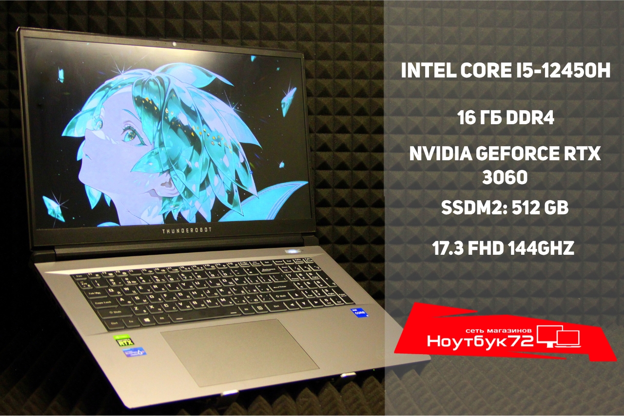 Ноутбук ThunderRobot 911 Plus Pro