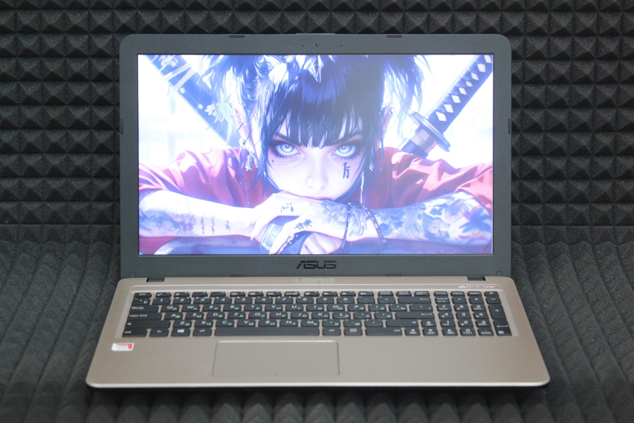 Ноутбук Asus R540BA-GQ181T (z)