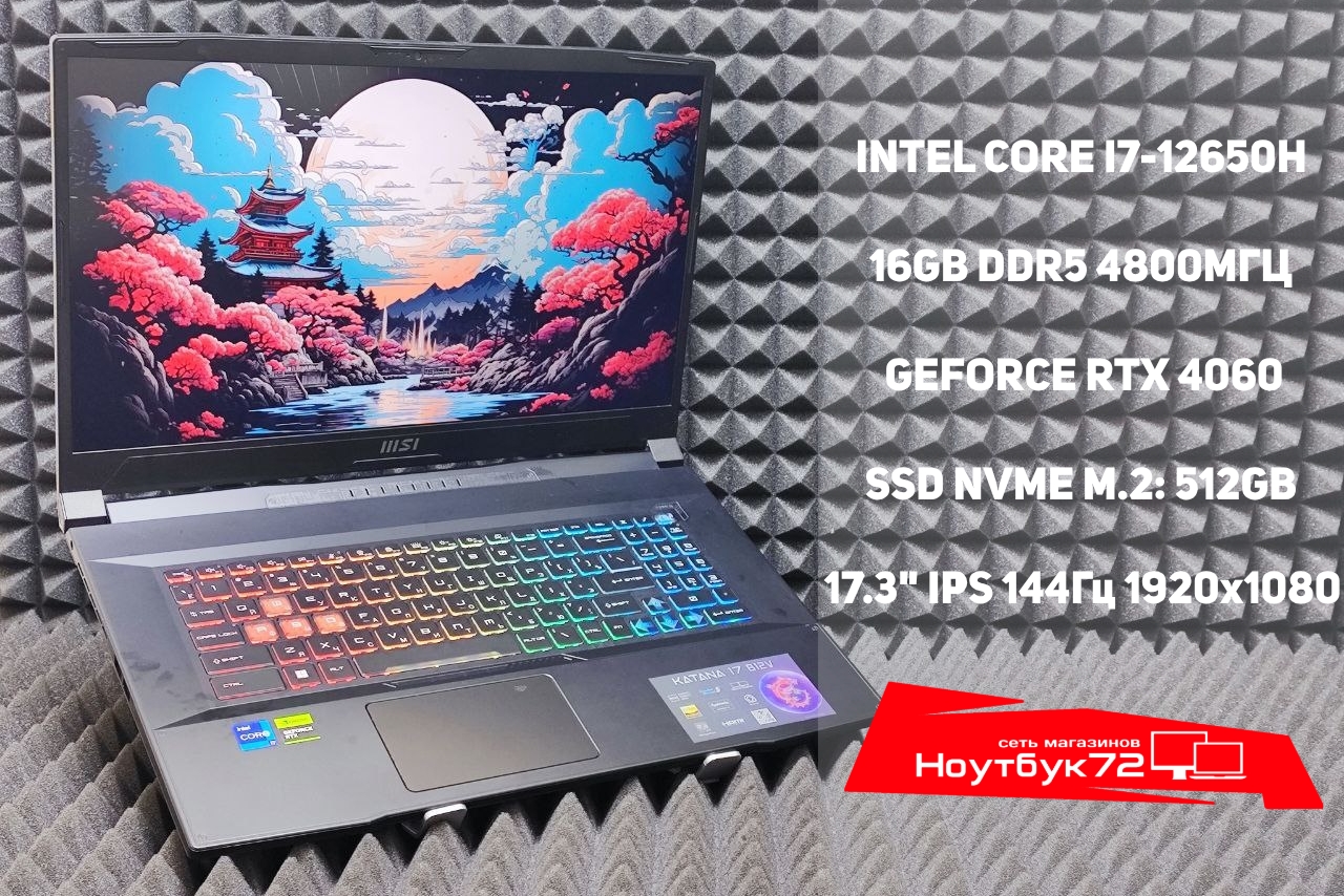 Ноутбук MSI Katana 17 B12VFK-271XRU-