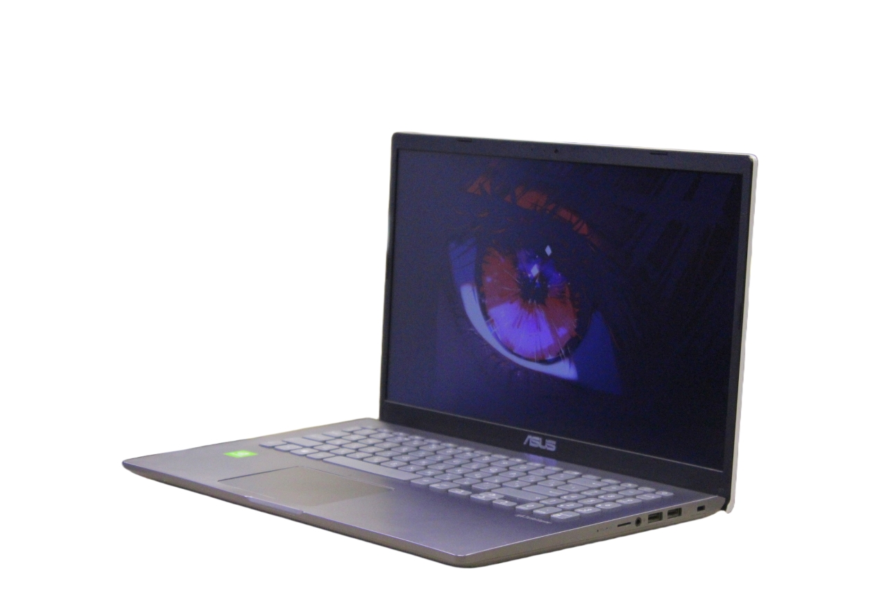 Ноутбук Asus F509JB-EJ131