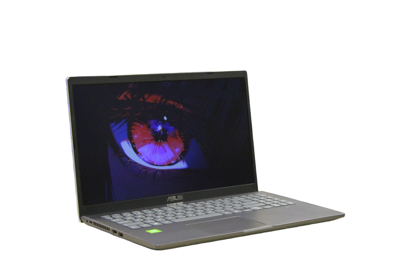 Ноутбук Asus F509JB-EJ131