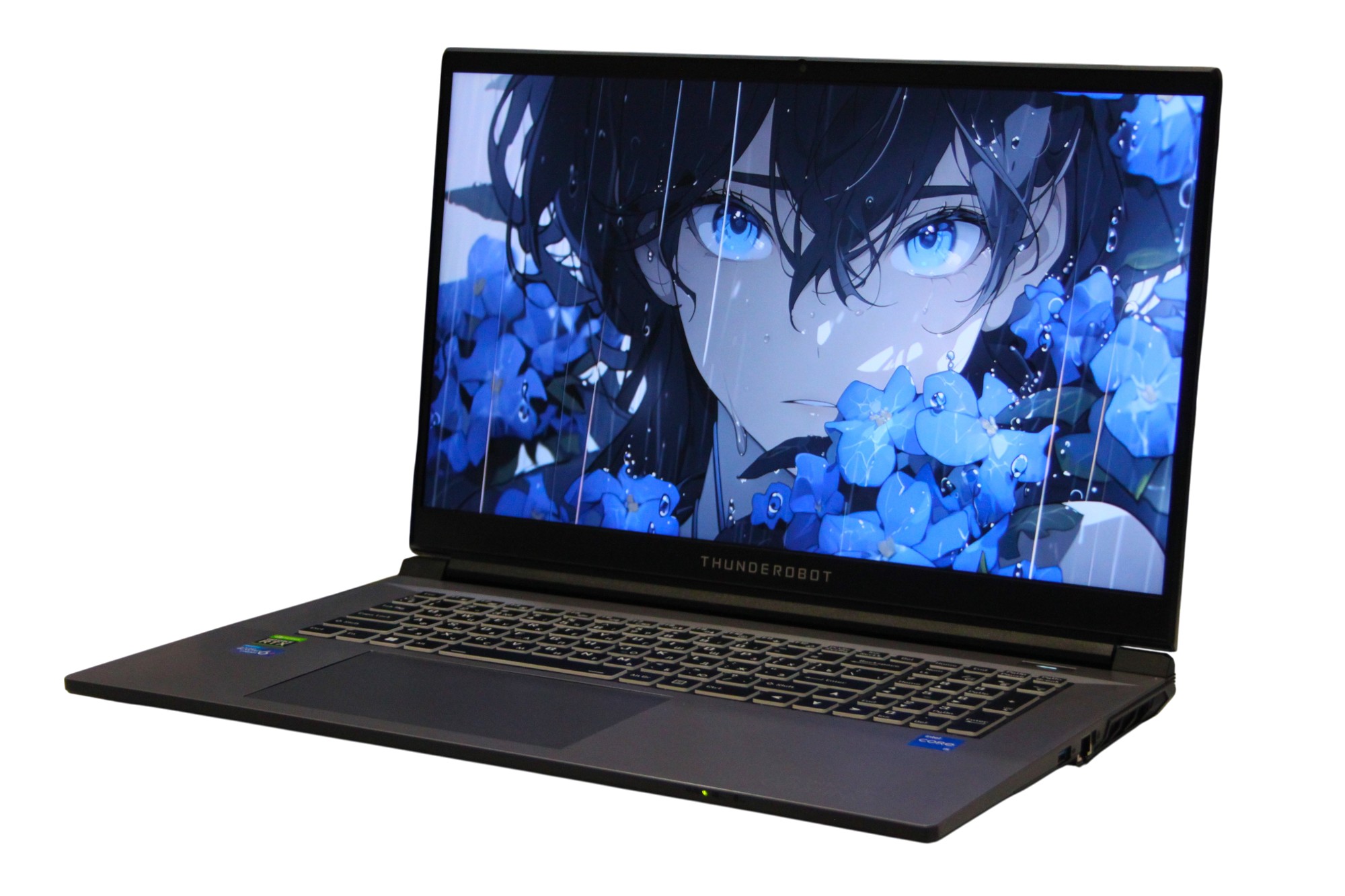 Игровой Ноутбук  Thunderobot 911 Plus X