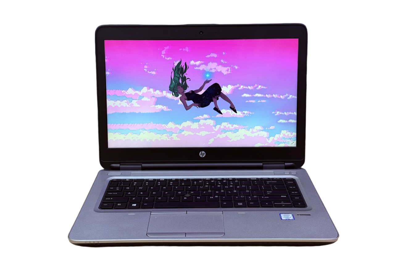 Ноутбук HP ProBook 640 G2 W8F39UP