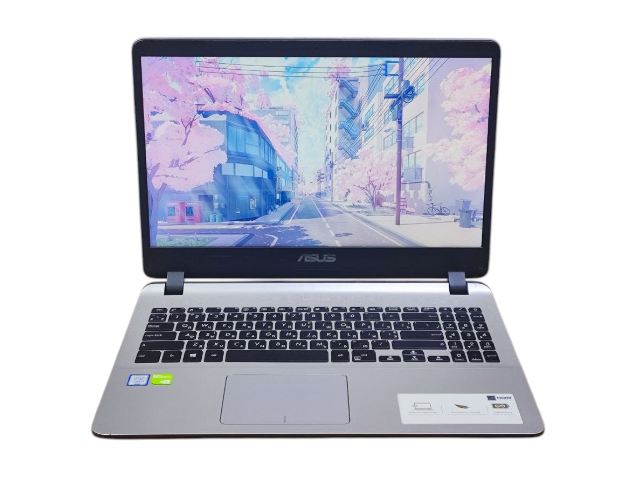 Ноутбук ASUS i3-6006U MX110 8GB SSD+HDD