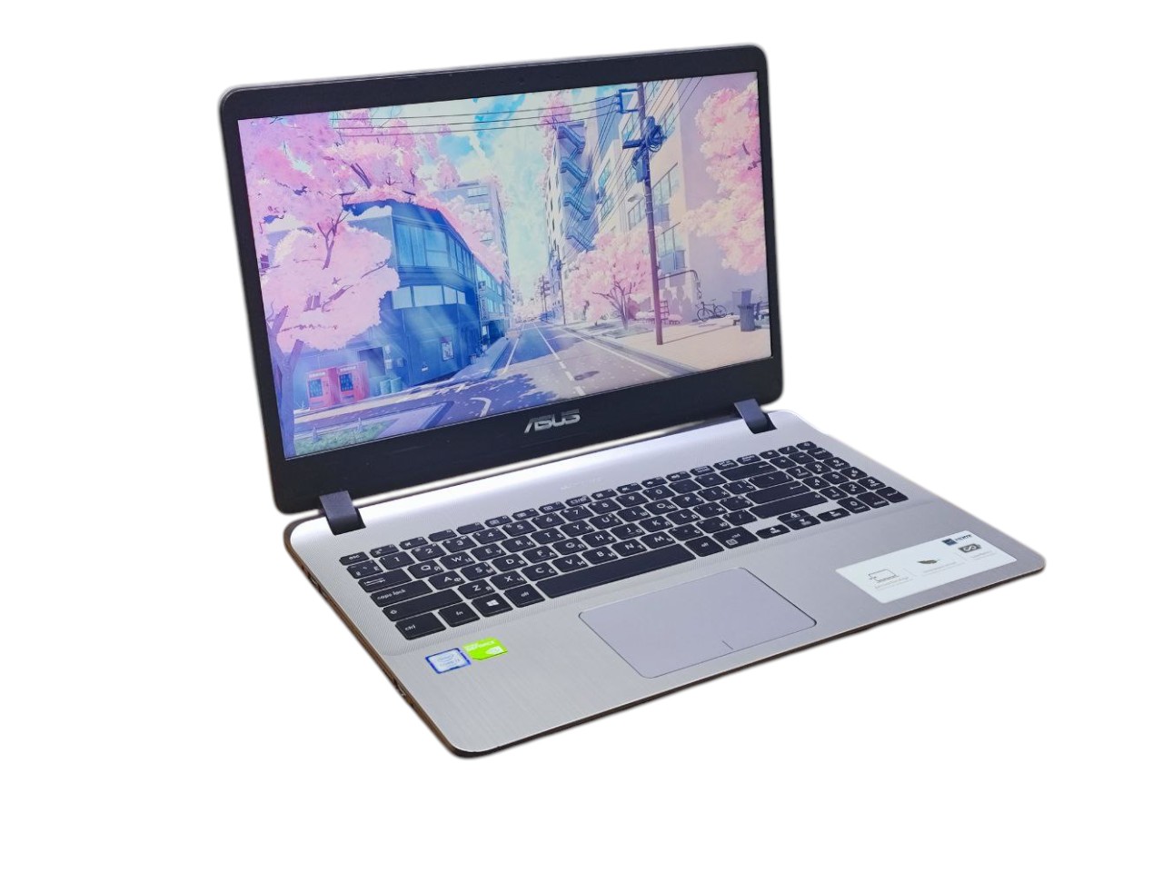 Ноутбук ASUS i3-6006U MX110 8GB SSD+HDD