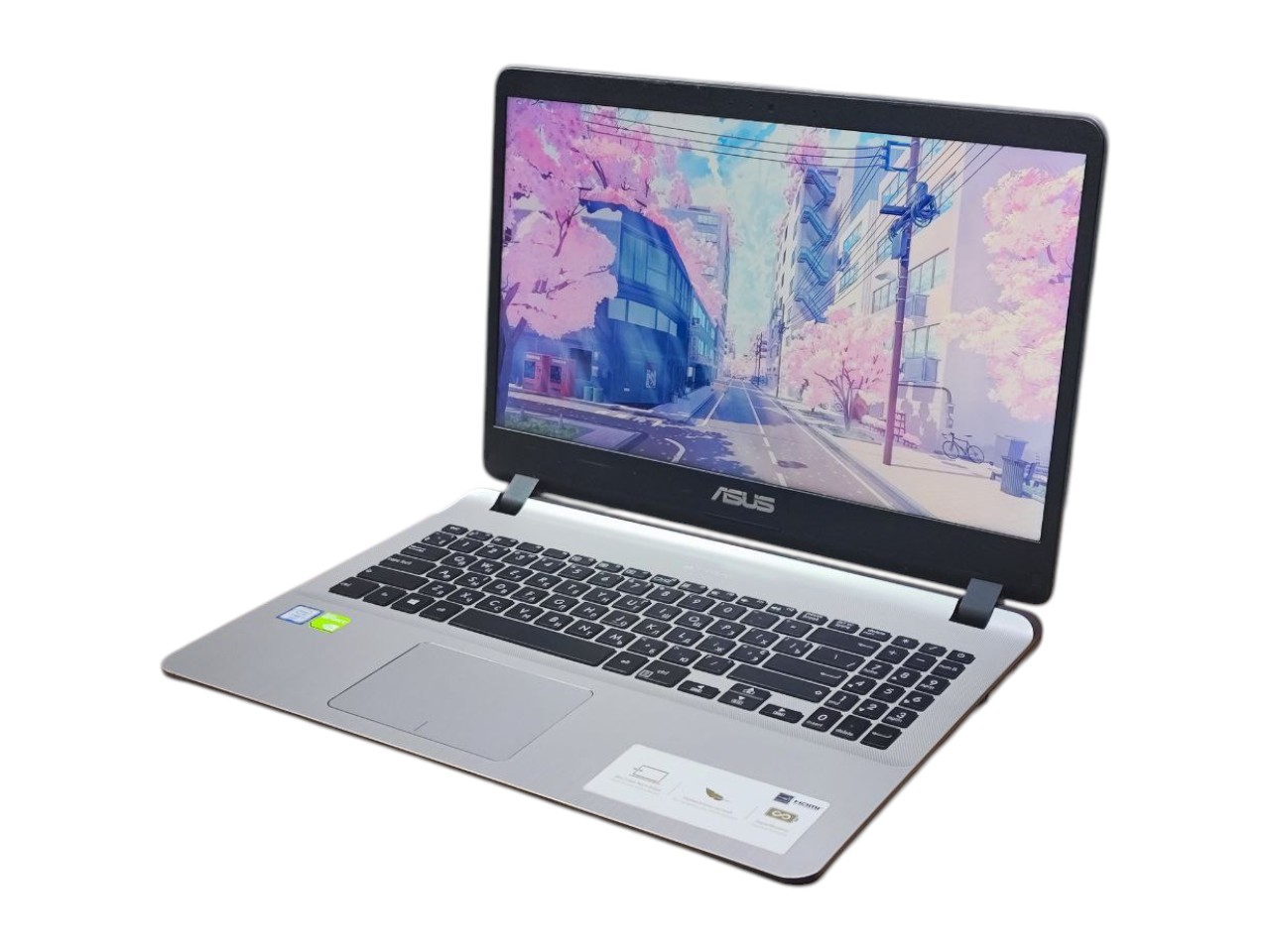 Ноутбук ASUS i3-6006U MX110 8GB SSD+HDD