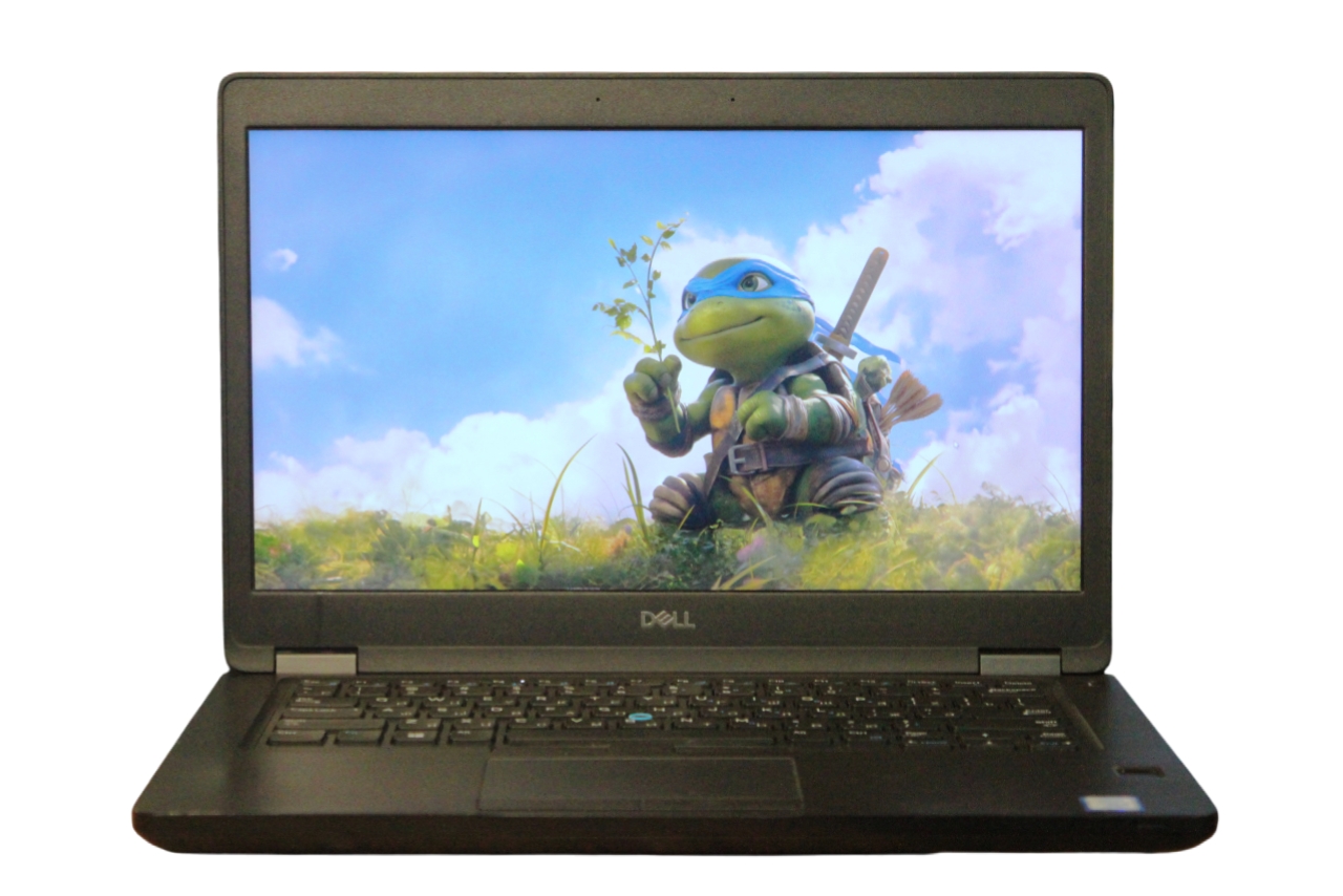 Ноутбук Dell Latitude 5491