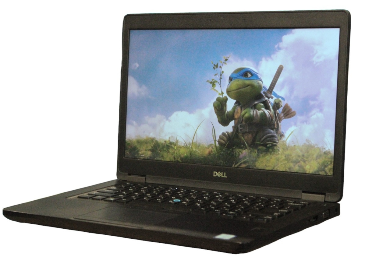 Ноутбук Dell Latitude 5491