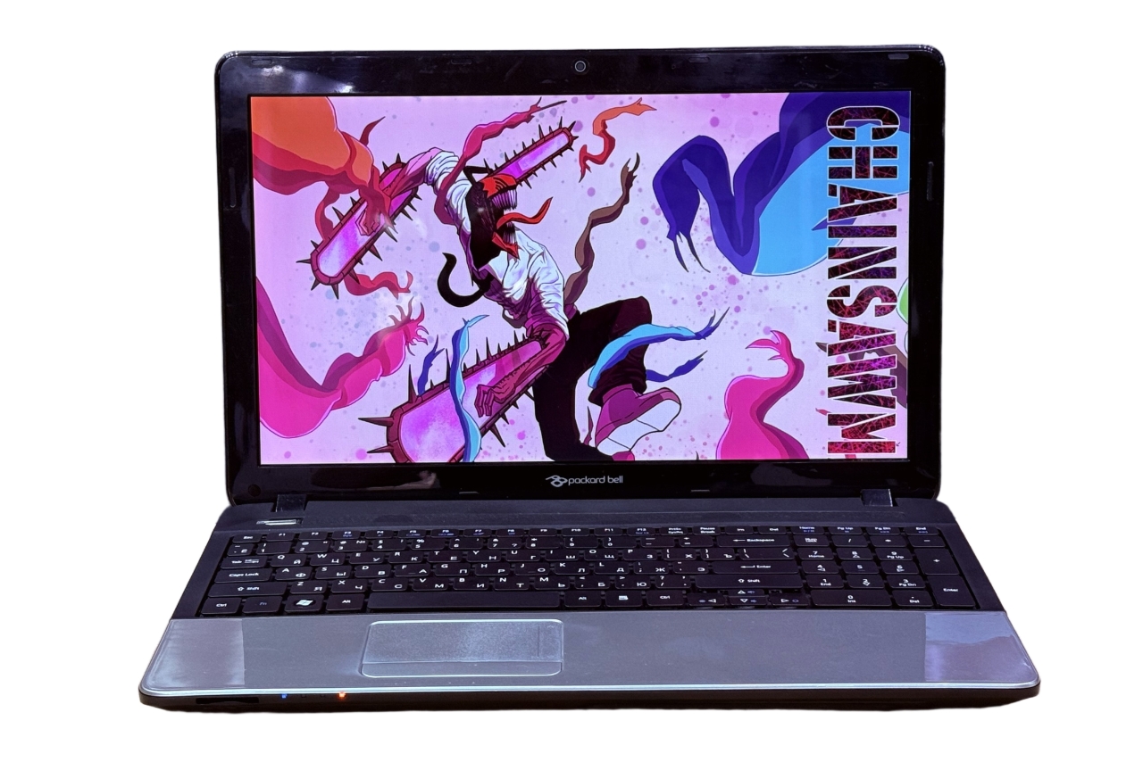 Ноутбук Packard Bell Ente11HC