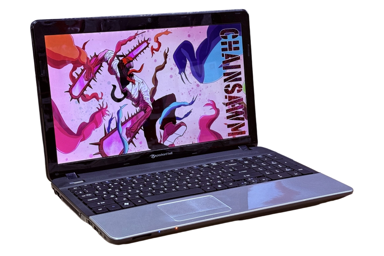 Ноутбук Packard Bell Ente11HC