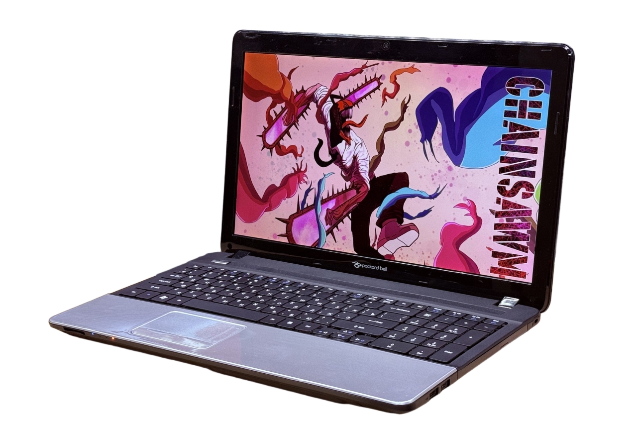 Ноутбук Packard Bell Ente11HC