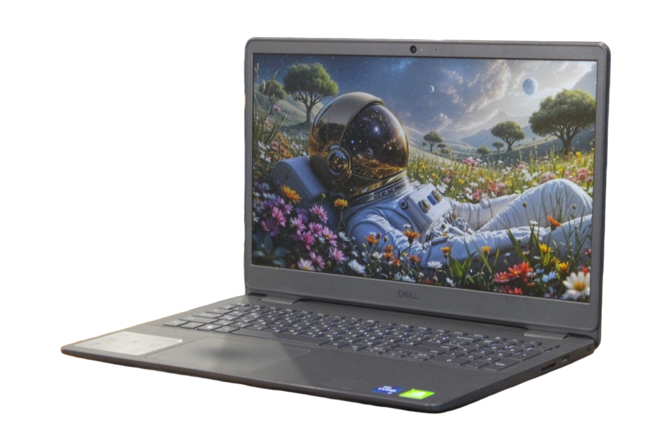 Dell Vostro 3500 P90F006